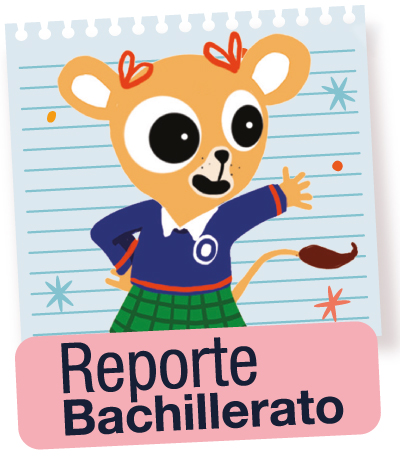 Reporte Bachillerato